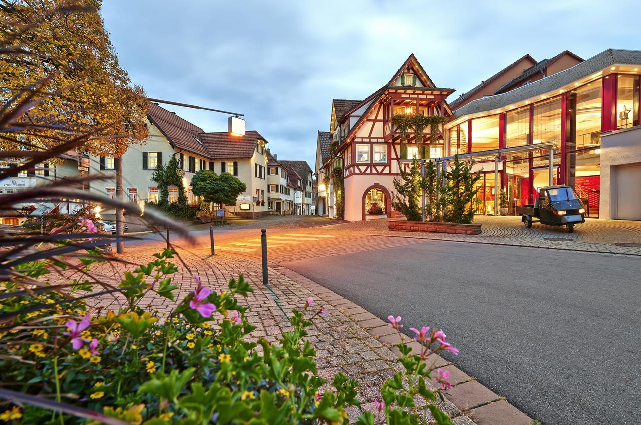Hotel Kronelamm Im Schwarzwald Бад-Тайнах-Цавельштайн Экстерьер фото